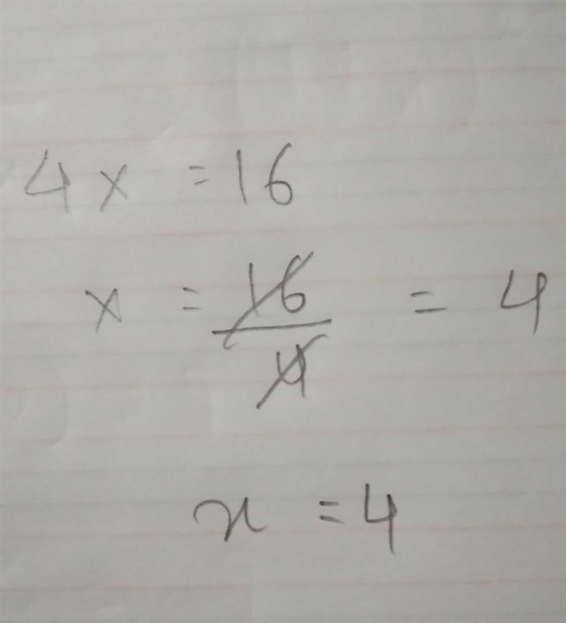 What could equal 16 if your x4-example-1