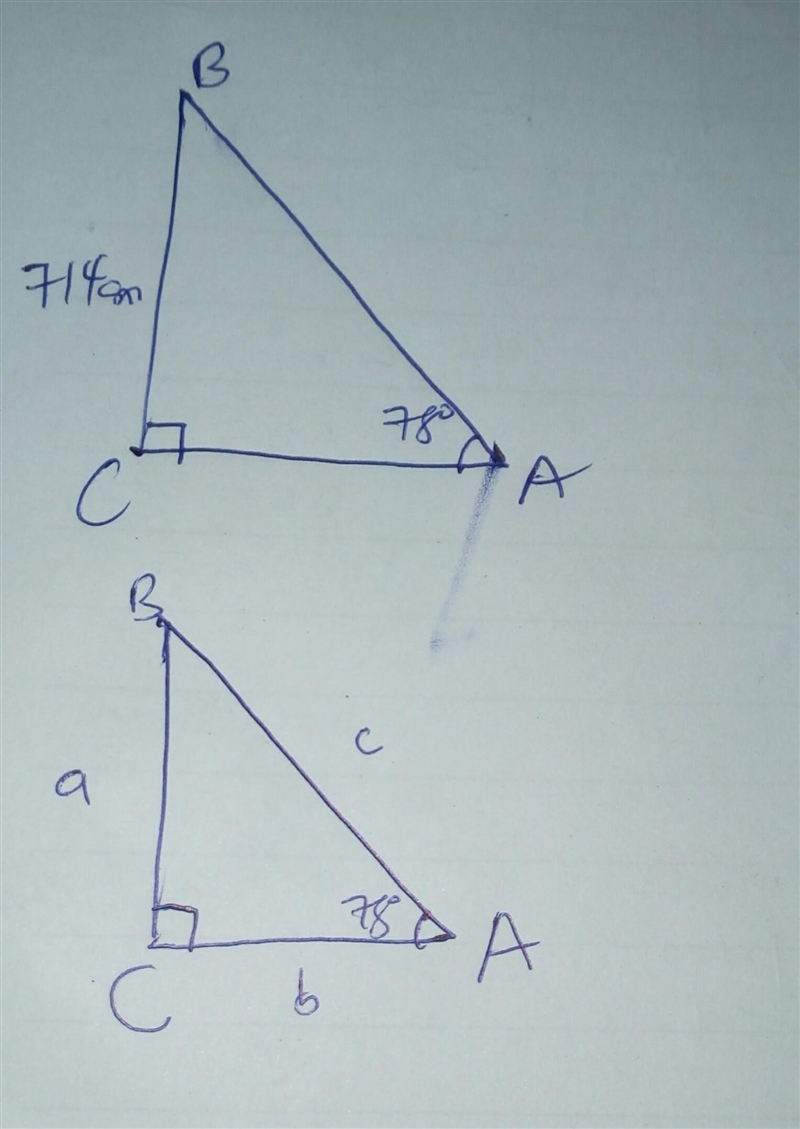 In triangle ABC, the right angle is at vertex C, a = 714 cm and the measure of angle-example-1