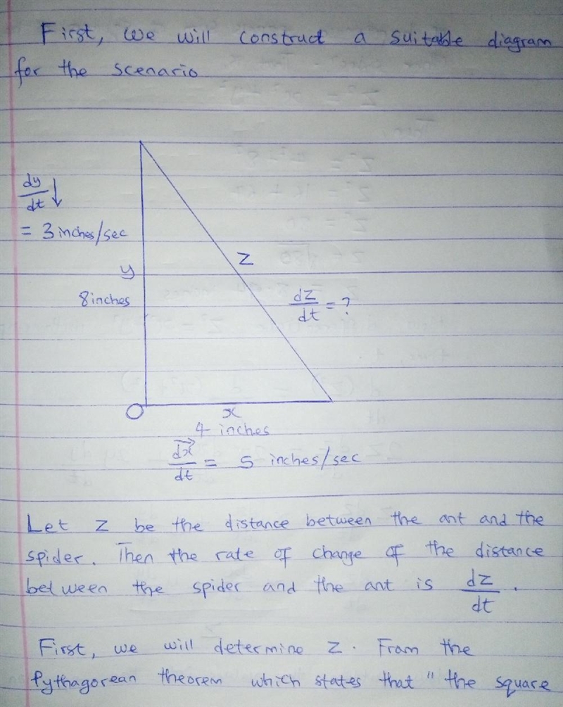 An ant moves along the x-axis from left to right at 5 inches per second. A spider-example-1