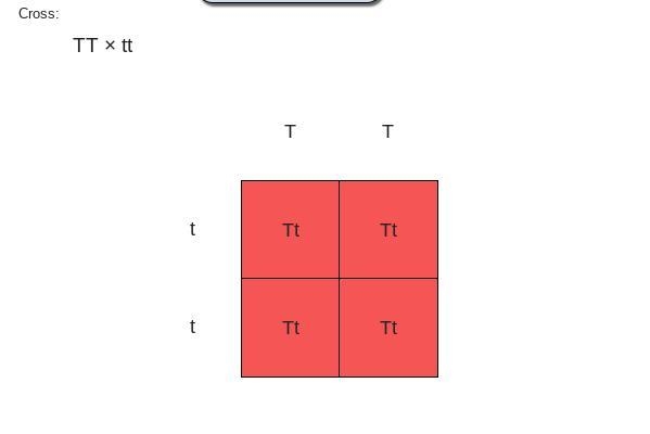 PLEAE HELP IF YOU'RE GOOD WITH GENETICS OR PROBABILITY-example-1