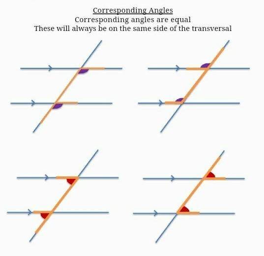 Parallel lines /////////////-example-2