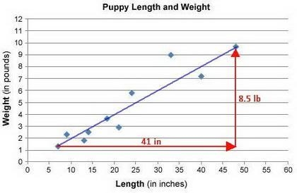 3. Maria is a veterinarian. She wants to know how the weight of a puppy is related-example-1