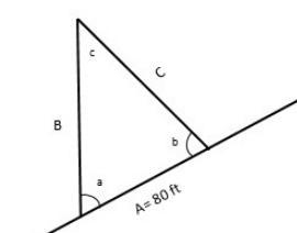 A tree growing on a hillside makes a 75° angle with the hill. From a point 80 feet-example-1