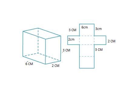 Use the interactive tool to create the three-dimensional solid from the net. What-example-1