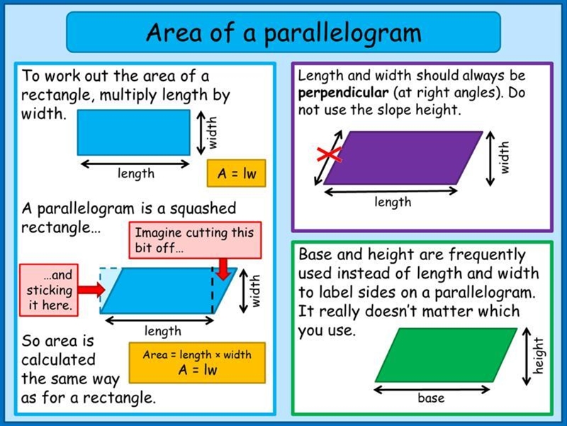 Identify the base of the parallelogram, given that A=81x2 cm2.-example-1