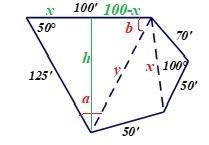 To approximate the area of a lake, Cindy walks around the perimeter of the lake, taking-example-1