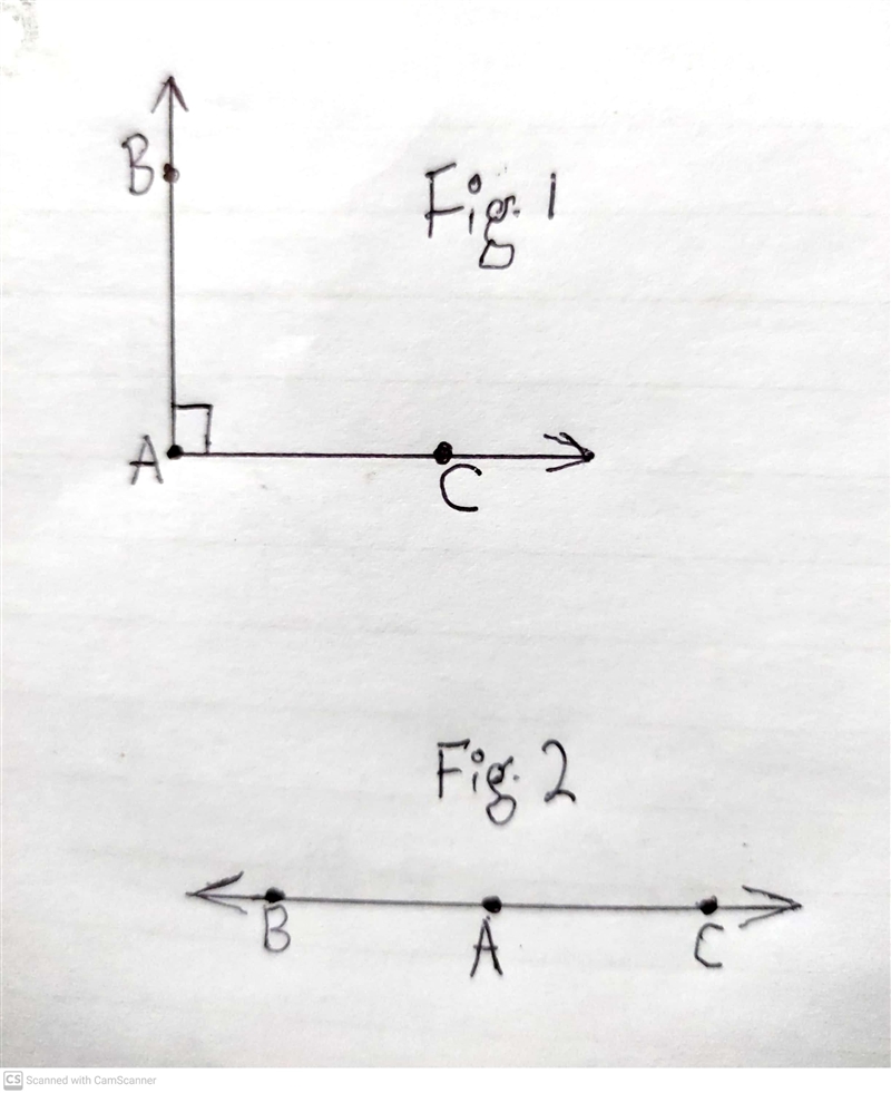 By definition, two rays labeled Ab and AC must exist with which of the following conditions-example-1