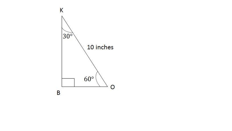 4. The hypotenuse of a 30°-60°-90° triangle measures 10 inches. Which could be the-example-1