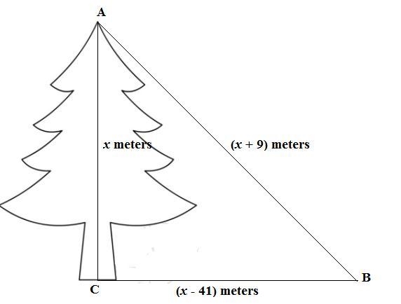 A Christmas tree is supported by a wire that is 9 meters longer than the height of-example-1