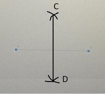 Construct the perpendicular bisector for the segment in the following figure. What-example-1