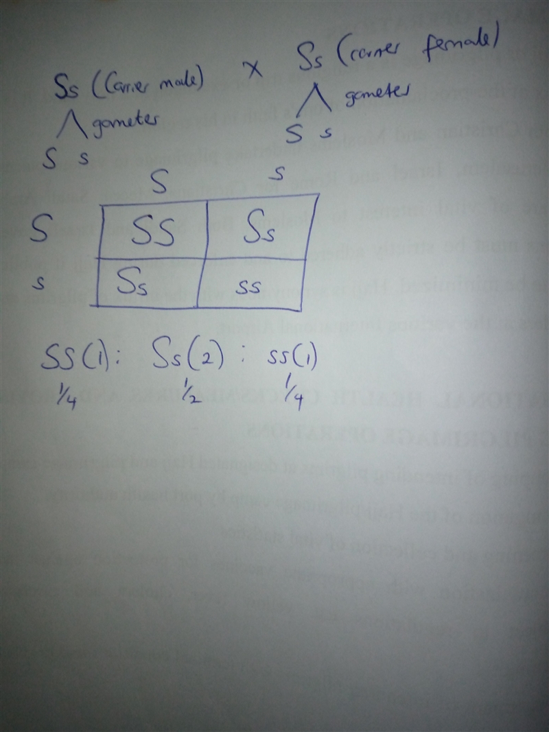 A gene is composed of two alleles. An allele can be either dominant or recessive. suppose-example-1