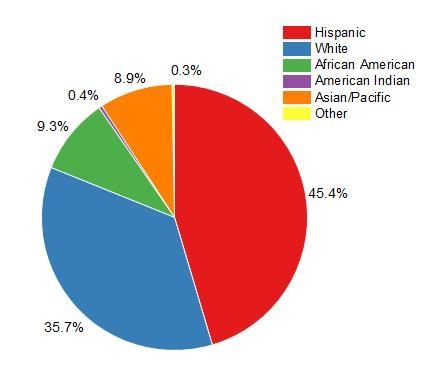 What is a pie chart​-example-1