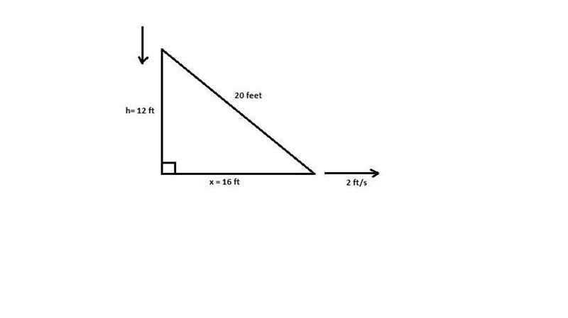 Calculus Application 2. A ladder 20 feet long leans a vertical building. If the bottom-example-1