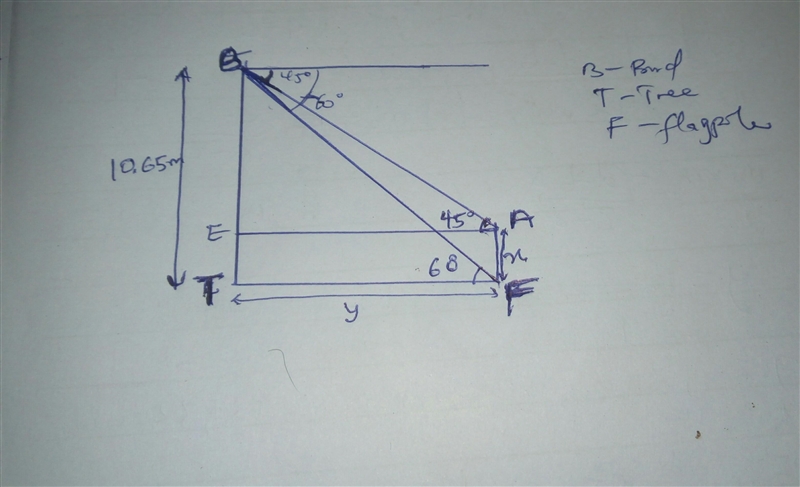 A tree and a flagpole are on the same horizontal ground A bird on top of the tree-example-1