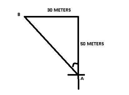 While warming up for their famous race, the hare started at point A, hopped 50 meters-example-1