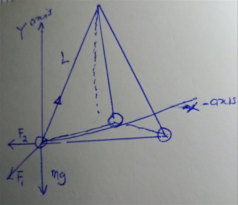 Three 3.0 g balls are tied to 80-cm-long threads and hung from a single fixed point-example-1