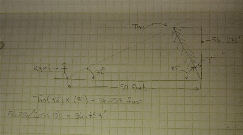 Kari wants to measure the height of a tree. She walks exactly 90 feet away from the-example-1