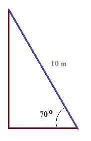 A ladder 10 m long,leans against a vertical wall at an angle of 70° to the ground-example-1