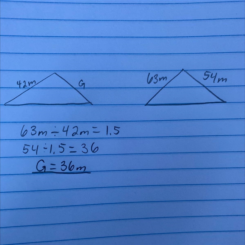 If these two shapes are similar, what is the measure of the missing length g?-example-1