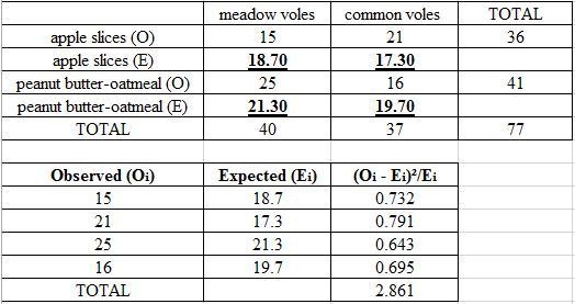 Dr. Pagels is a mammalogist who studies meadow and common voles. He frequently traps-example-2