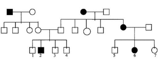 Apply the laws of probability and calculate the probability the offspring of the cousin-example-1