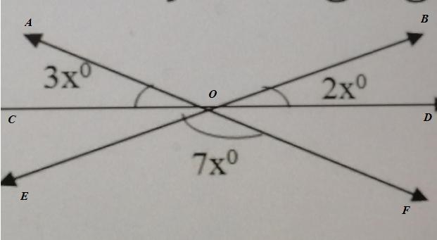 Find the value of x from this adjoining figure-example-1