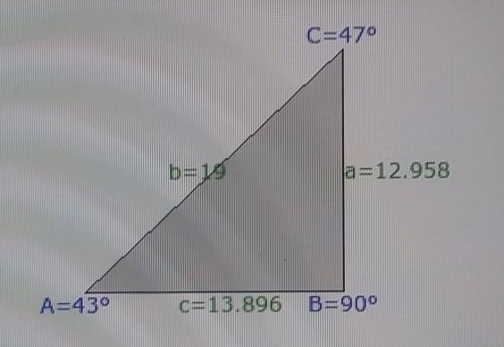 Find the missing side, x, rounded to the nearest whole number.-example-1