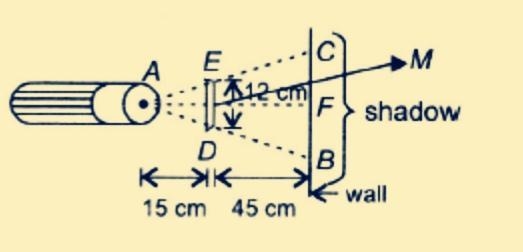 A 12-centimeter rod is held between a flashlight and a wall as shown. Find the length-example-1