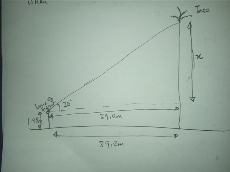 An observer, whose eyes are 1.98 m above the ground, is standing 39.2 m away from-example-1