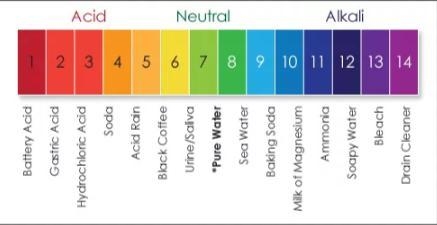 A study collects samples of water from the tap in Vacaville and from bottled water-example-1