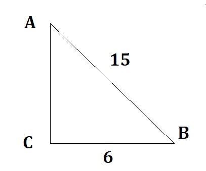 If a = 6 and c = 15, what is the measure of ∠A? (round to the nearest tenth of a degree-example-1