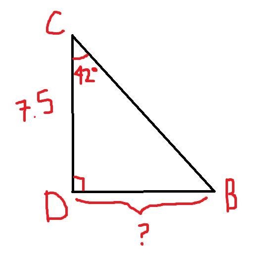 In ΔBCD, the measure of ∠D=90°, the measure of ∠C=42°, and CD = 7.5 feet. Find the-example-1