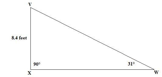 In ΔVWX, the measure of ∠X=90°, the measure of ∠W=31°, and XV = 8.4 feet. Find the-example-1