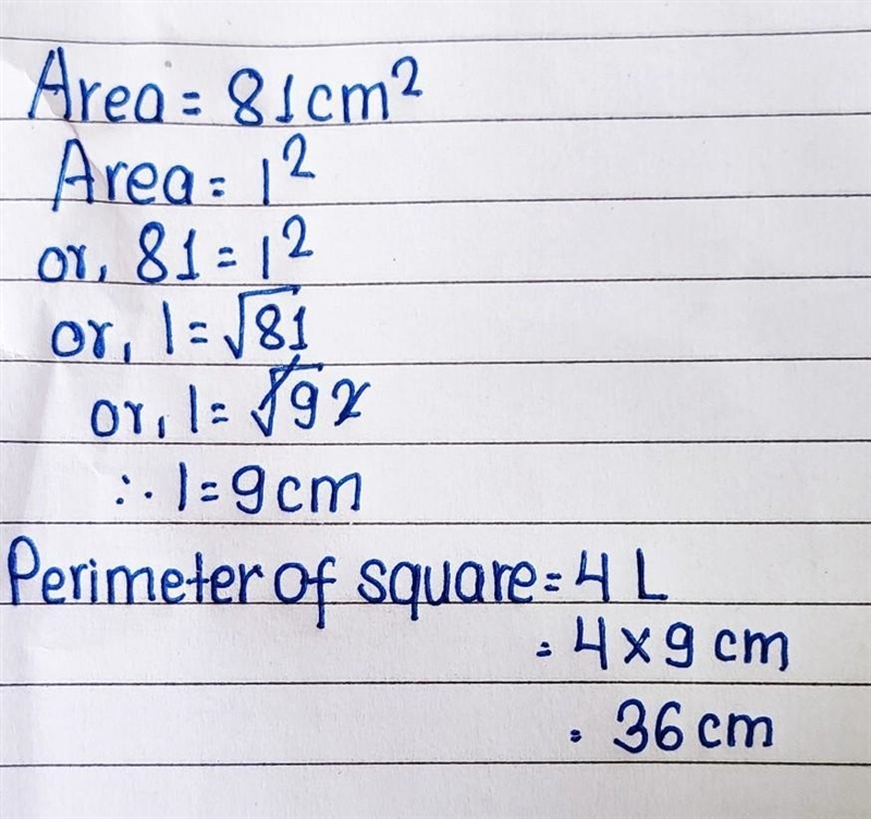 The area of a square is 81cm2.Find the length and perimeter.-example-1