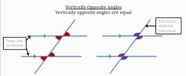 Parallel lines /////////////-example-1