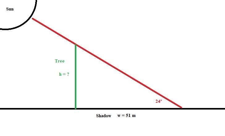 The sun is 24 degreesabove the horizon. It makes a 51 m long shadow of a tall tree-example-1