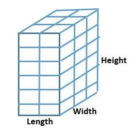 Evelyn pets the box with 1 inch cubes with represents does not show how evelyn can-example-1