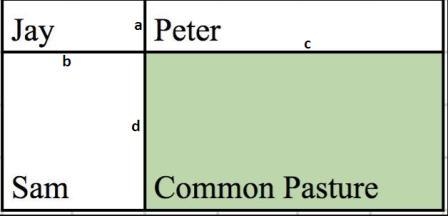 Farmers Jay, Peter, and Sam own rectangular farms, as indicated in the figure. Jay-example-1