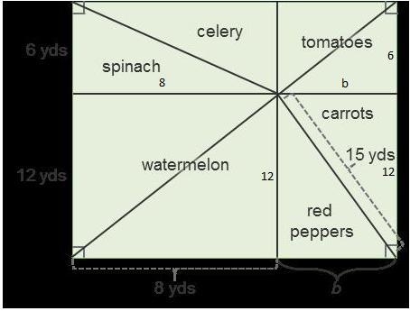 The group is planning to build a fence around the garden. How many yards of fencing-example-1