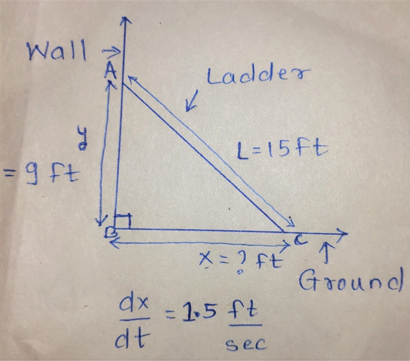 A 15-ft ladder leans against a wall. The lower end of the ladder is being pulled away-example-1