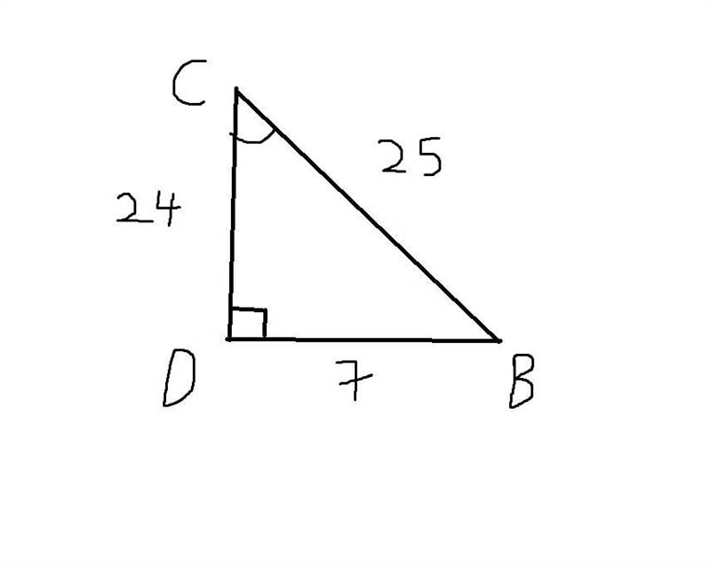 In ΔBCD, the measure of ∠D=90°, CB = 25, BD = 7, and DC = 24. What is the value of-example-1