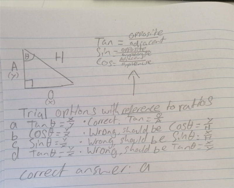 Identify and set up the Trig relationship X-example-1