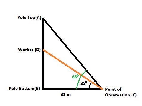 From a point 31 meters from the base of a telephone pole the angle of elevation to-example-1