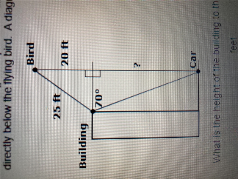 A student standing on top of a building sees a bird flying that is 25ft away and 20 ft-example-1