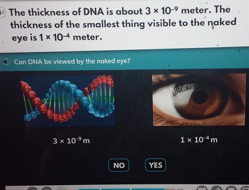 Please give me the correct answer ​-example-1