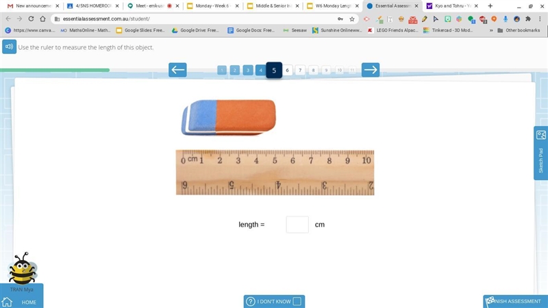 Use the ruler to measure the length of this object. (IMAGE BELOW)-example-1