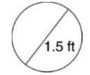 What is the circumference, in feet, of the circle. Round to the nearest tenth-example-1