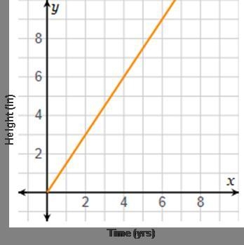 The graph shows a linear relationship between the height and years of a plant’s growth-example-1