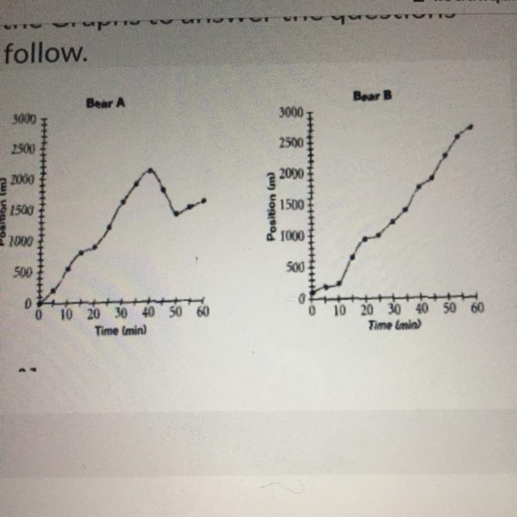 What was Bear B's average speed in m/min? No units required for answer.-example-1