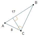 What is the length of Line segment B C?-example-1